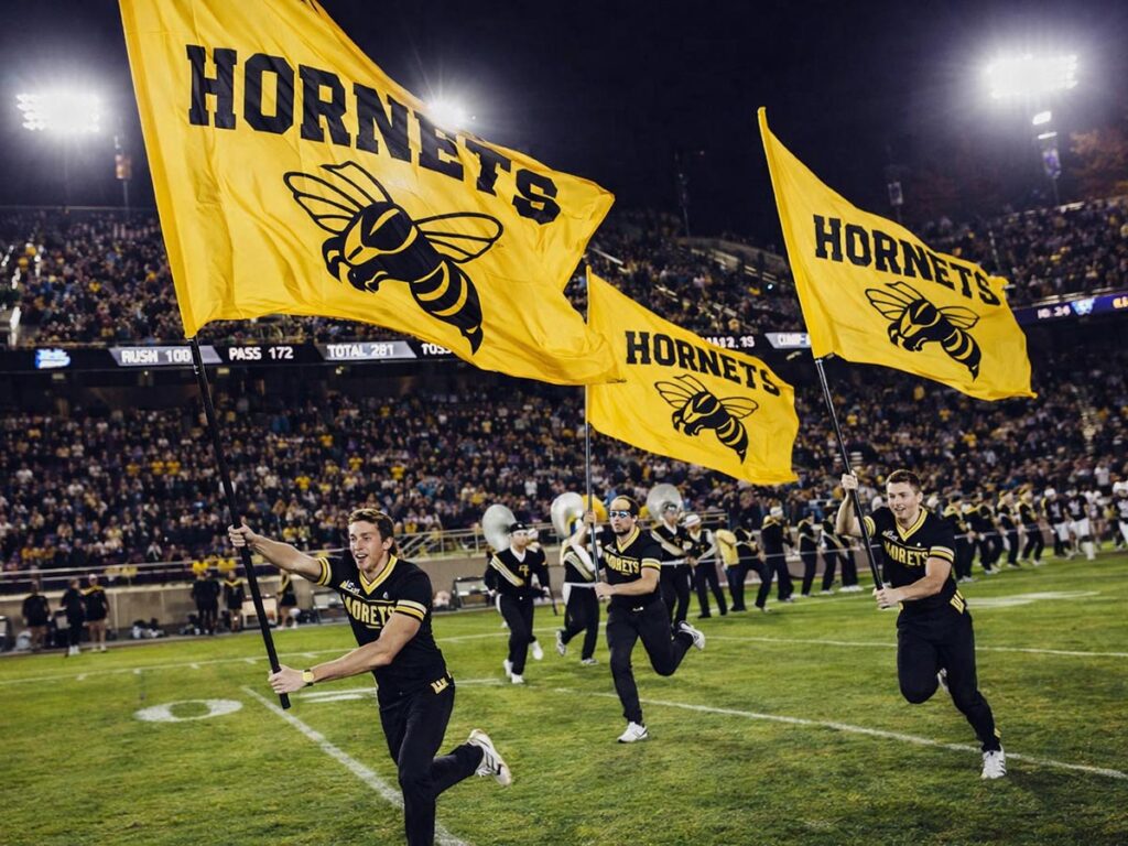 field runner spirit flags hornets